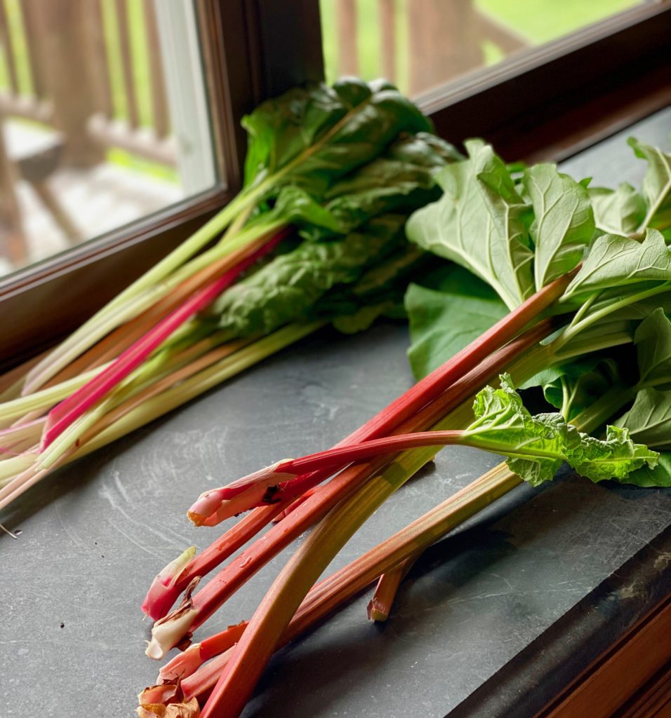 several stalks of rhubarb on a counter of black stone