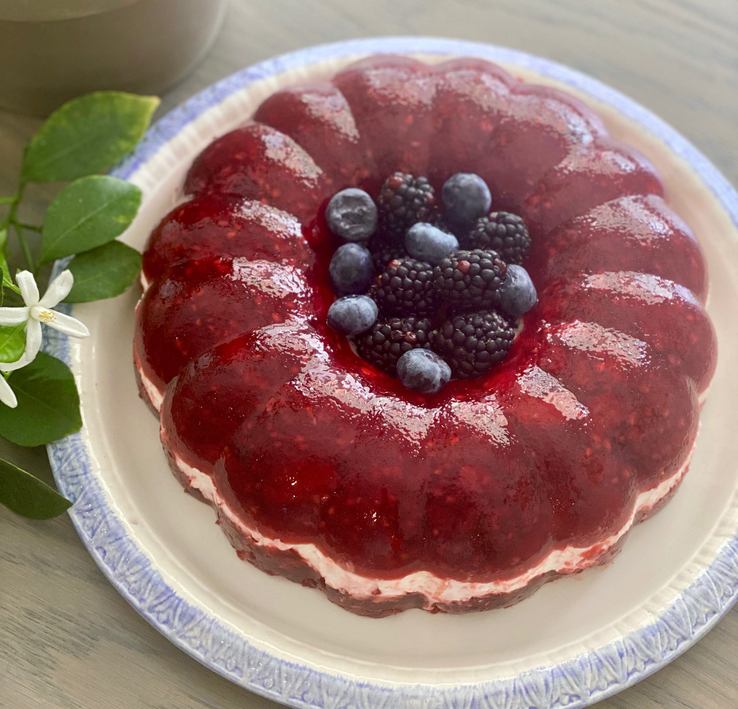 A white and blue plate with a raspberry gelatin ring salad