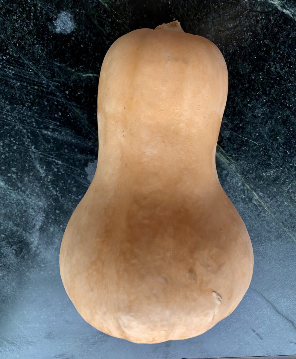 A large whole butternut squash on a dark soapstone counter
