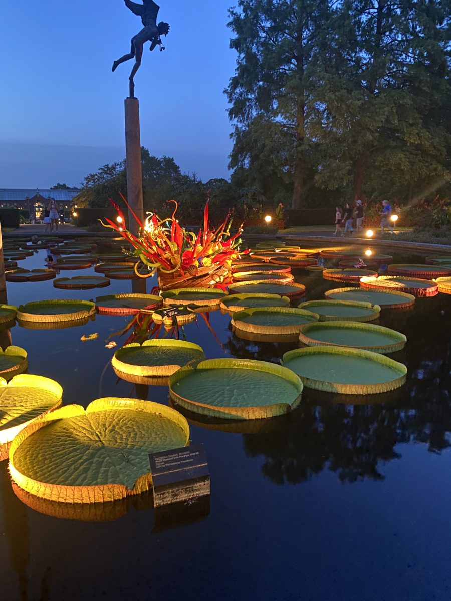 massive upturned green Lilly pads lit up floating in a pond surrounded by red, yellow and blue glass orbs and objects