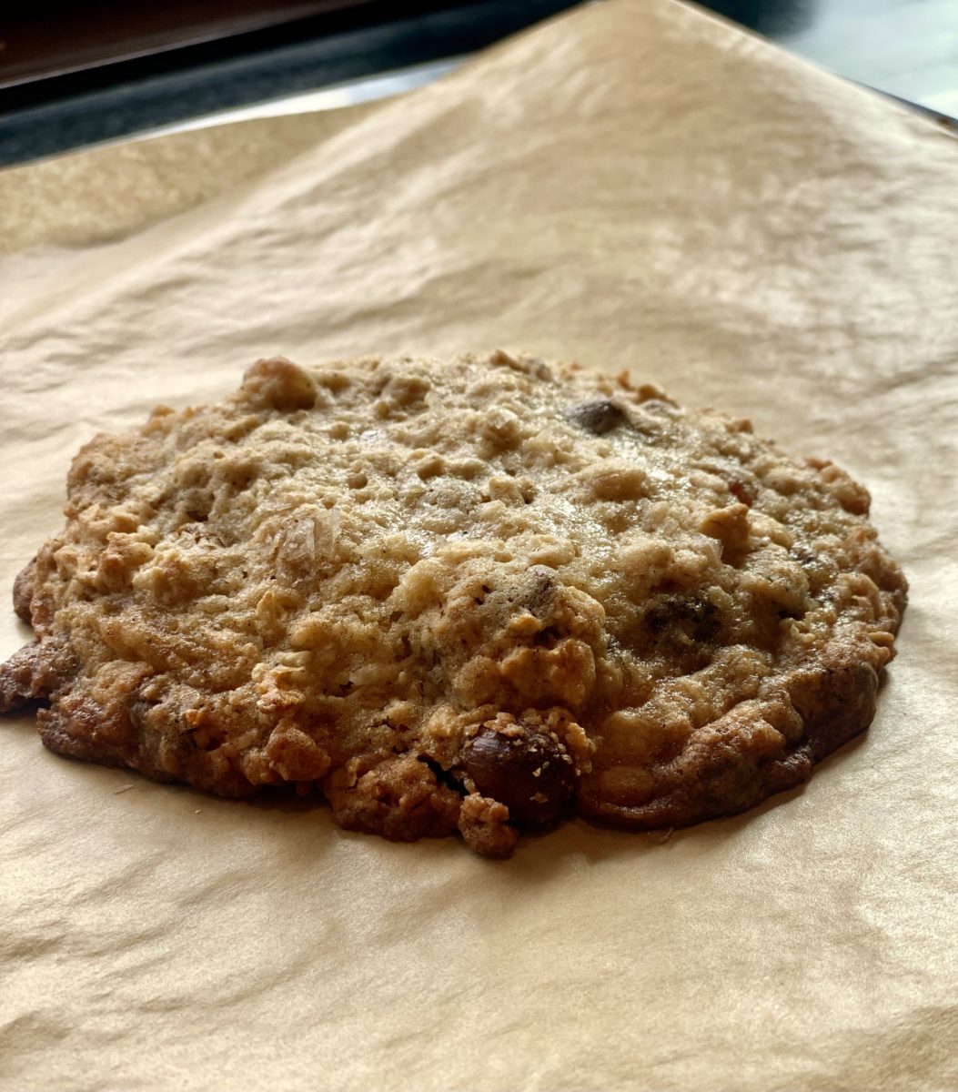 a single oatmeal chocolate cookie resting on parchment paper right from the oven 