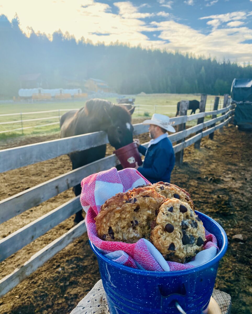a blue pail filled with oatmeal cookies with a large black horse and cowboy the background
