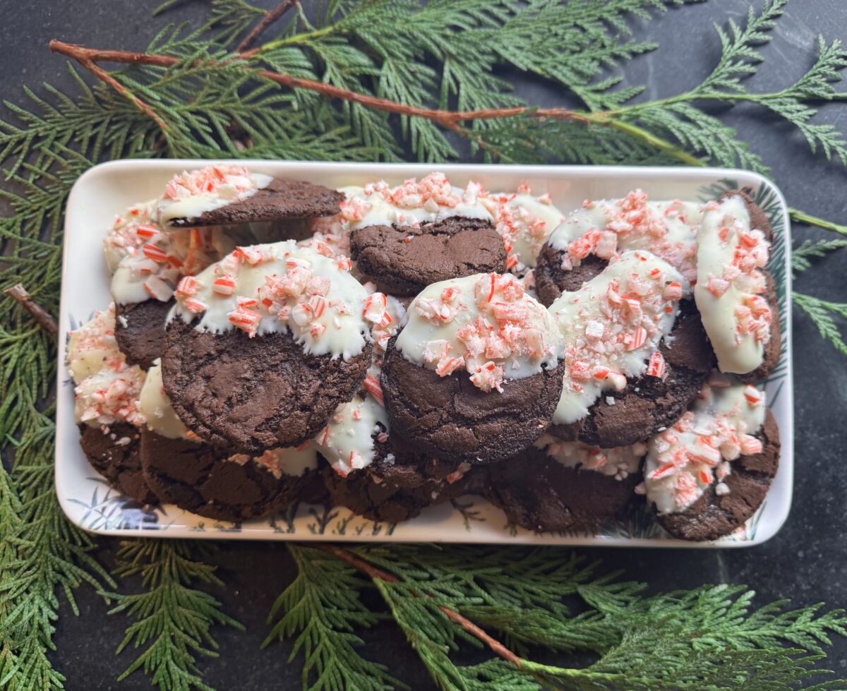 White chocolate dipped chocolate cookies sprinkled with crushed peppermint on a white ceramic tray resting on cedar branches