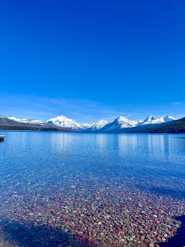 The western side of Lake MacDonald in Glacier national park with mountains in the background covered with snow and clear water with multi colored rocks visible through the water.