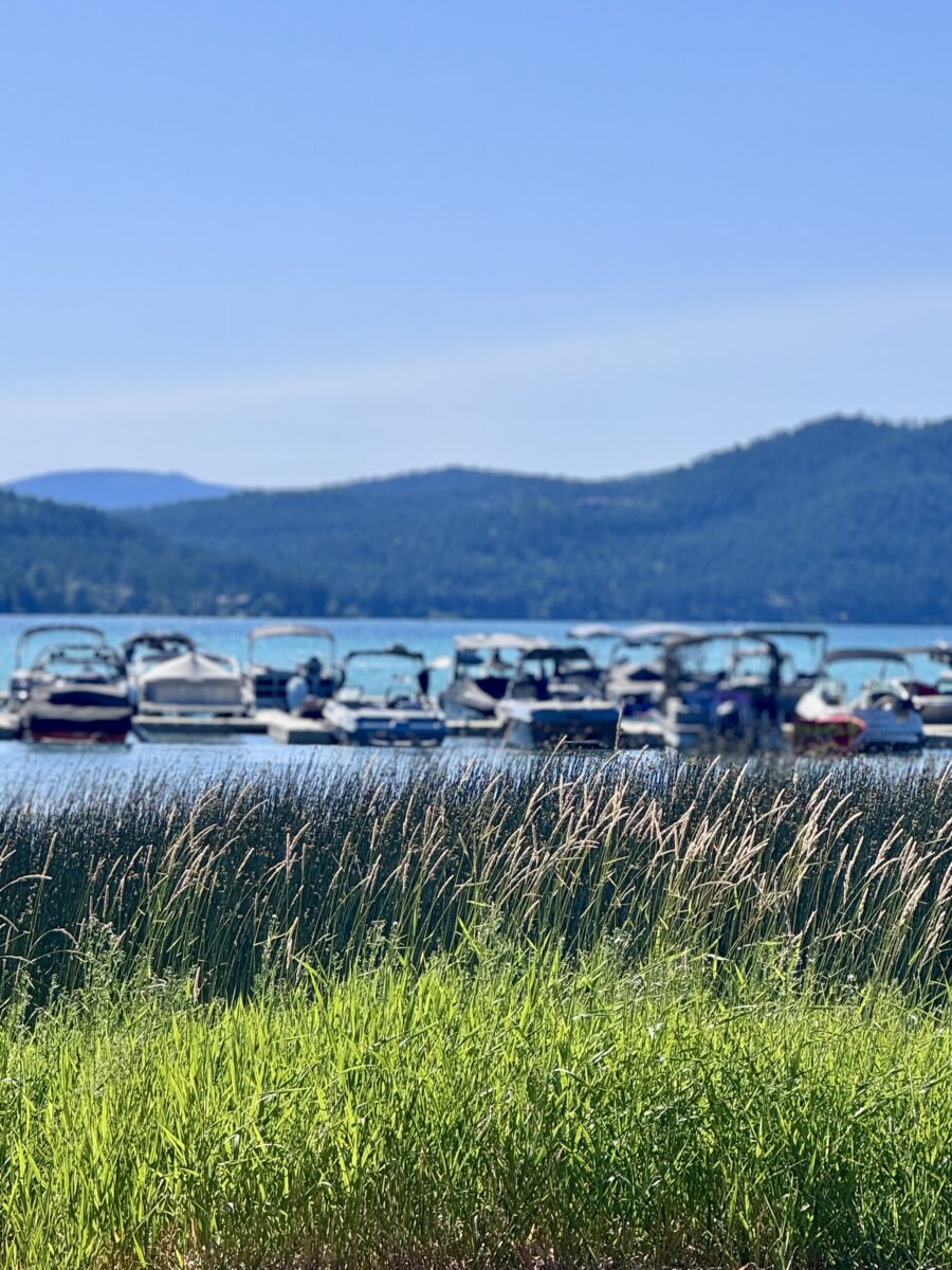 a marina on Whitefish Lake filled with boats with a mountain range in the background.
